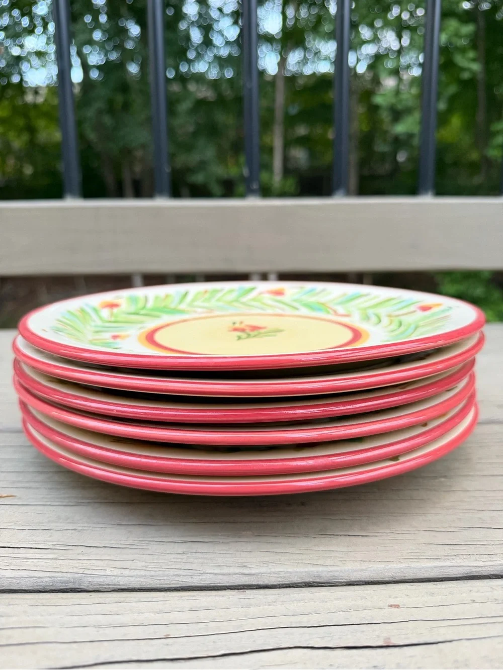 Set of 6 Gail Pittman Siena Garland Rim Hand Painted Dinner Plates